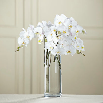 White Phalaenopsis Bouquet –  Hummelstown Flowers, Hummelstown PA